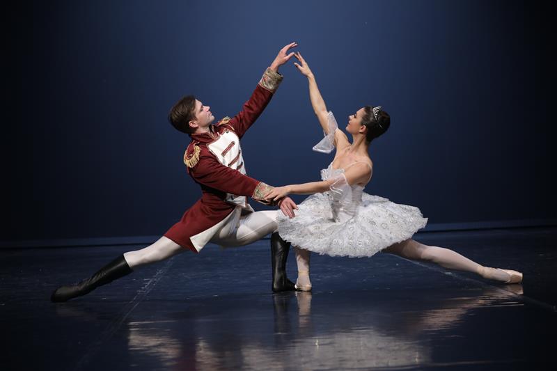 P. I. Tchaikovsky: The Nutcracker - preview image