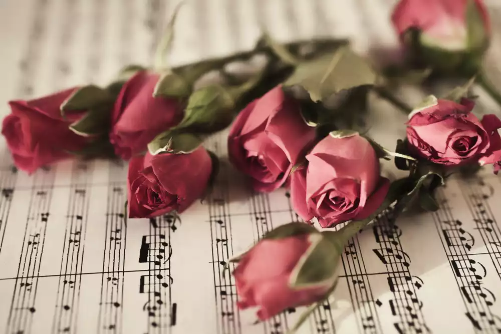 Chopin & Mozart piano concerto with orchestra (in chamber cast) - preview image