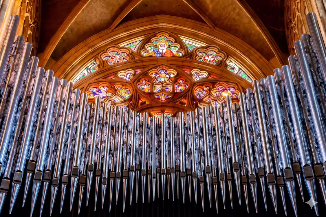Prague Castle International organ festival - in St. Vitus Cathedral 