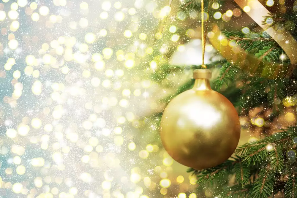  Weihnachtskonzert mit dem Prague Philharmonic Chamber Orchestra - preview image