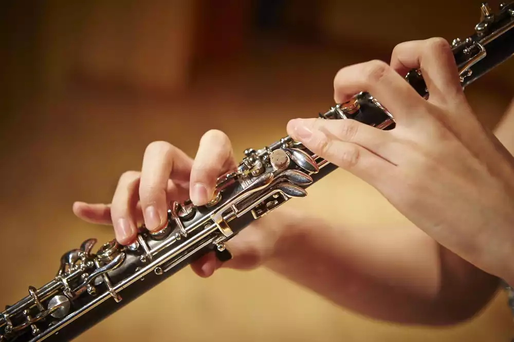 Oboe & Orgel - preview image
